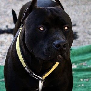 Meet your Posher, Keegan